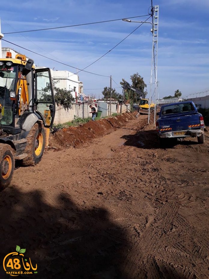 lud shaneer tarmem (4).jpg